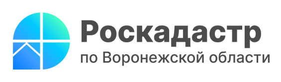 РОСКАДАСТР РАССКАЖЕТ ВОРОНЕЖЦАМ О КОНСУЛЬТАЦИЯХ В СФЕРЕ НЕДВИЖИМОСТИ. РОСКАДАСТР РАССКАЖЕТ ВОРОНЕЖЦАМ О КОНСУЛЬТАЦИЯХ В СФЕРЕ НЕДВИЖИМОСТИ.