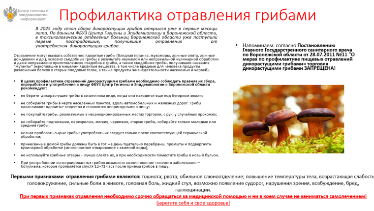 Профилактика отравления грибами. Профилактика отравления грибами.