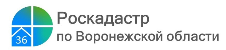 ДИРЕКТОР РЕГИОНАЛЬНОГО РОСКАДАСТРА ВЫСТУПИЛА НА КОЛЛЕГИИ УПРАВЛЕНИЯ РОСРЕЕСТРА ПО ВОРОНЕЖСКОЙ ОБЛАСТИ. ДИРЕКТОР РЕГИОНАЛЬНОГО РОСКАДАСТРА ВЫСТУПИЛА НА КОЛЛЕГИИ УПРАВЛЕНИЯ РОСРЕЕСТРА ПО ВОРОНЕЖСКОЙ ОБЛАСТИ.